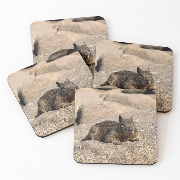 Item preview, Lover's Point Squirrels 2 designed and sold by generalbonkers.