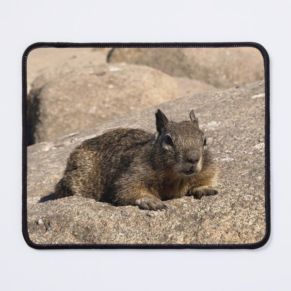 Item preview, Lover's Point Squirrels 2 designed and sold by GeneralBonkers.