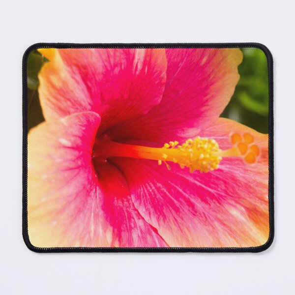 Item preview, Yellow Pink Hibiscus designed and sold by ROSE ANN BANILAR.