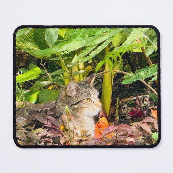 Item preview, Contemplating in the Garden designed and sold by Jasbindar Singh.
