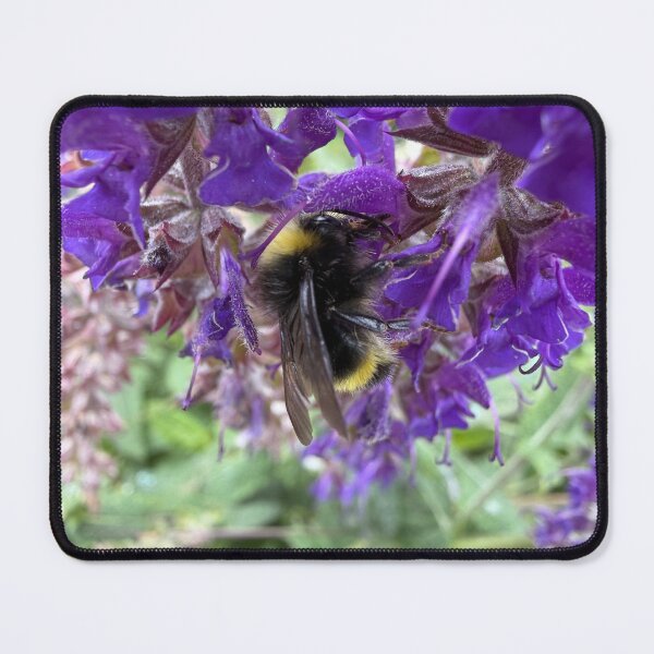 Item preview, Bumblebee in the Purple Pedals designed and sold by Betsy Phillips.