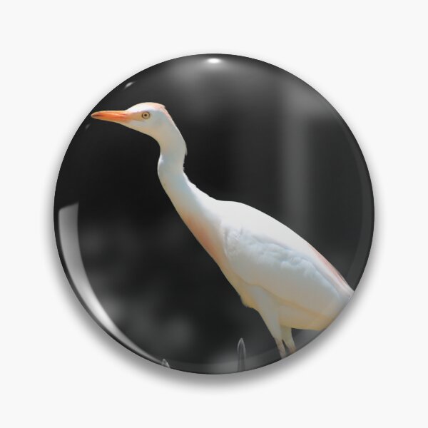 Item preview, Curious Egret designed and sold by Blancotography.
