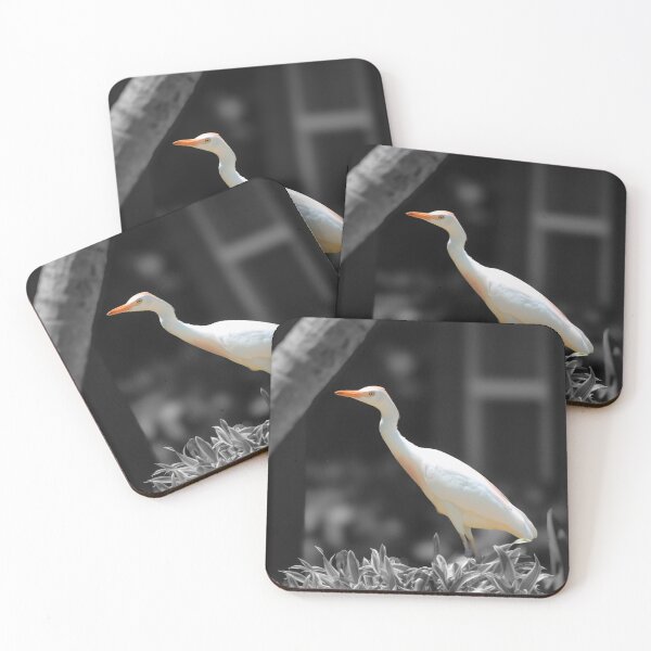 Item preview, Curious Egret designed and sold by Blancotography.