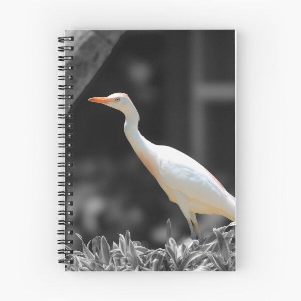 Item preview, Curious Egret designed and sold by Blancotography.