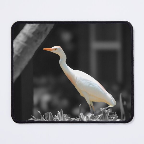 Item preview, Curious Egret designed and sold by Blancotography.