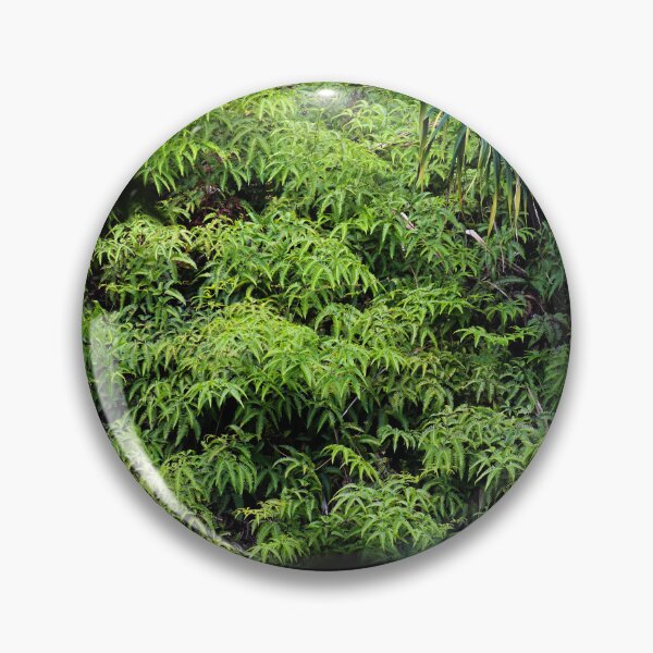 Item preview, Lush Jungle  designed and sold by Blancotography.