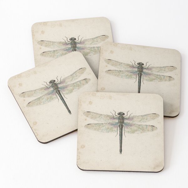 Item preview, Vintage Dragonfly Specimen Natural History Plate designed and sold by PictorialWhimsy.