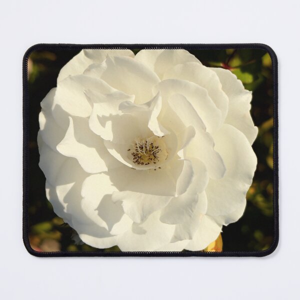 Item preview, A Winter Rose In Summer designed and sold by NilCaelum.
