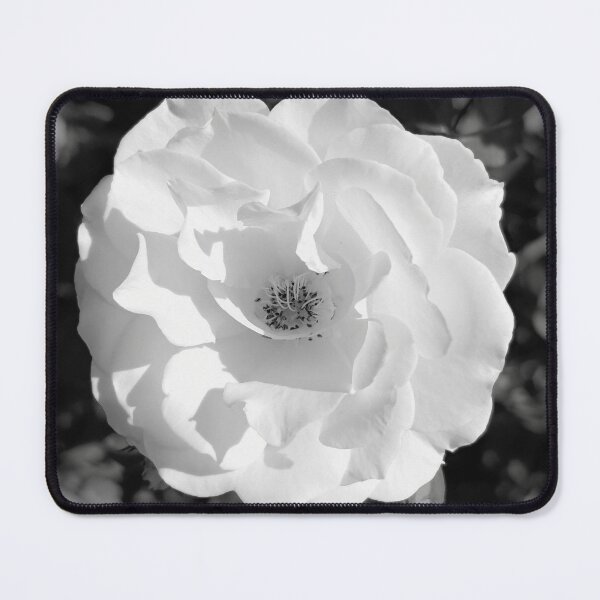 Item preview, A Winter Rose In Grey designed and sold by NilCaelum.