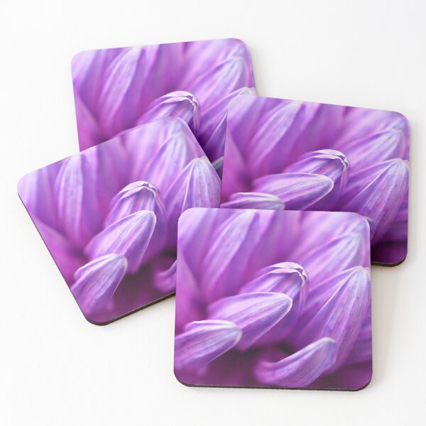 Item preview, Close up of purple chrysanthemum petals designed and sold by Rachel Elizabeth Photography.