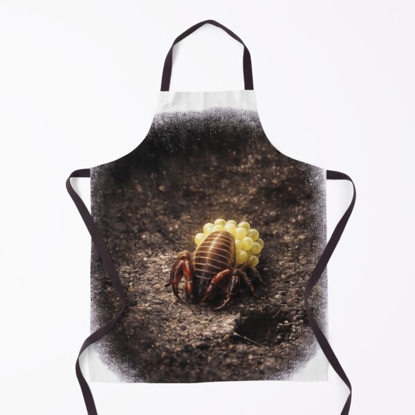 Item preview, Pseudoscorpion Carrying Eggs | Rare Macro Wildlife Art | Tiny Arachnid Mother designed and sold by NocturnalNook.