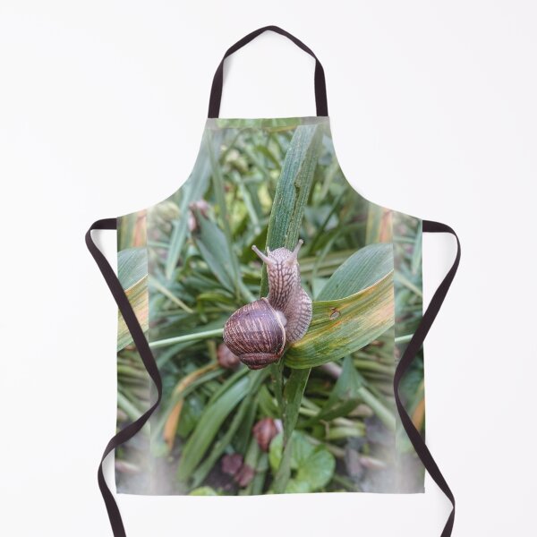 Item preview, Roman snail sitting on a wet stem after rain designed and sold by Enerjetal.