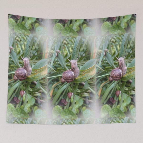 Item preview, Roman snail sitting on a wet stem after rain designed and sold by Enerjetal.