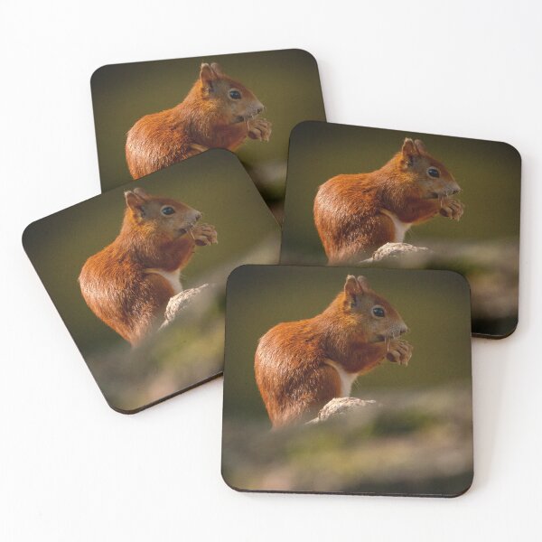 Item preview, Cute Red Squirrel in the Sun designed and sold by cgnature1983.