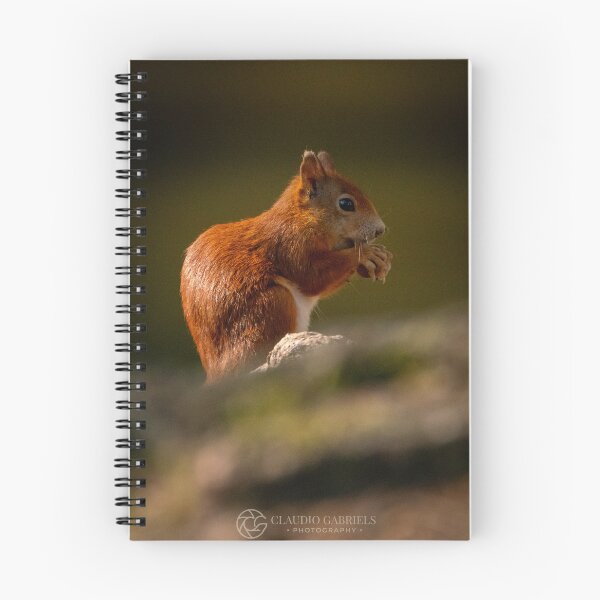 Item preview, Cute Red Squirrel in the Sun designed and sold by cgnature1983.