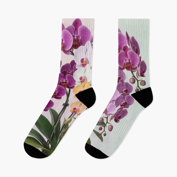 Item preview, Colorful Phalaenopsis Orchid Bloom Collection designed and sold by CooksCreators.