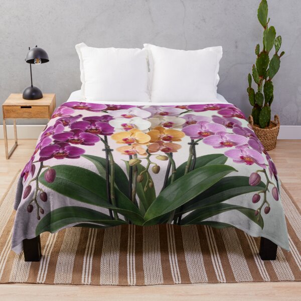 Item preview, Colorful Phalaenopsis Orchid Bloom Collection designed and sold by CooksCreators.
