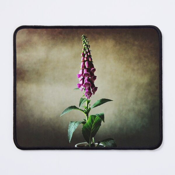 Item preview, Moody Foxglove Flower in White Pot | Dark Botanical Photography | Cottagecore Floral Decor designed and sold by Mousy17.