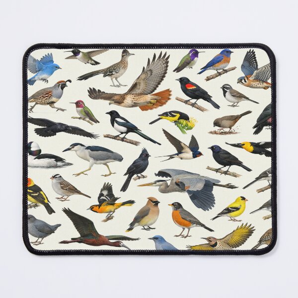 Item preview, Native Birds of Nevada Retro Style Identification Chart designed and sold by kakarikihill.
