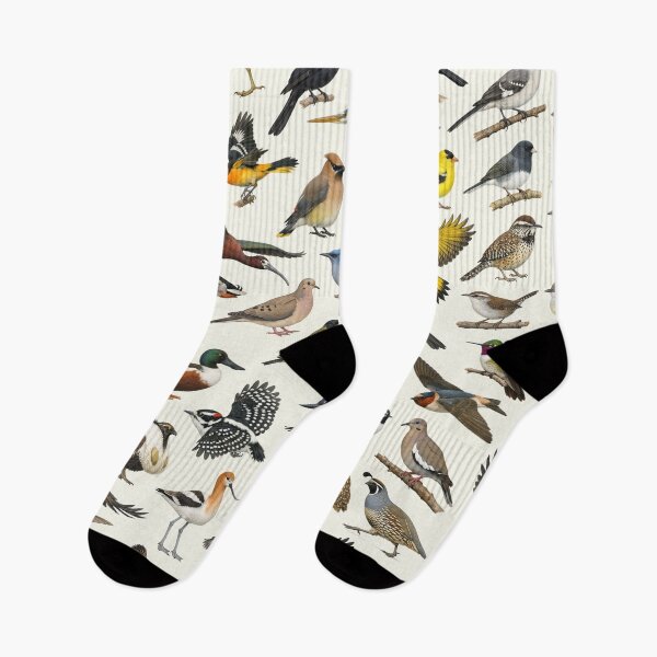 Item preview, Native Birds of Nevada Retro Style Identification Chart designed and sold by kakarikihill.