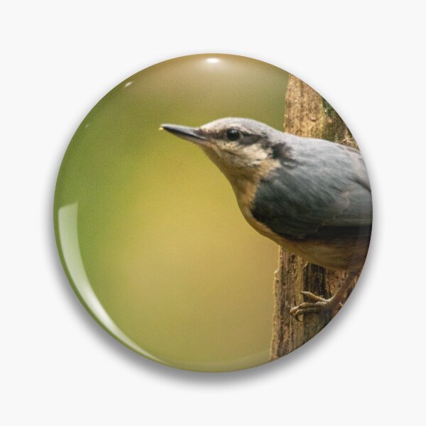 Item preview, Eurasian Nuthatch on Tree Stump designed and sold by cgnature1983.