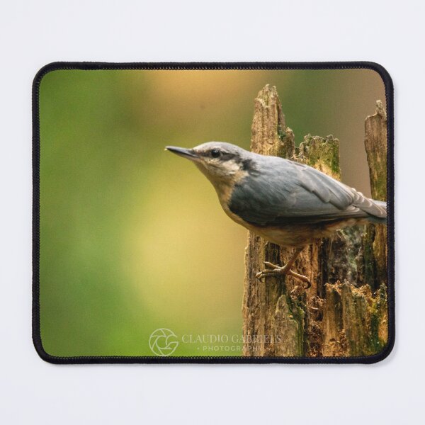 Item preview, Eurasian Nuthatch on Tree Stump designed and sold by cgnature1983.