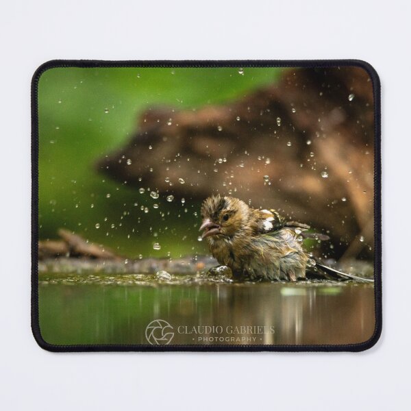 Item preview, Chaffinch Bird Bath Splash Action designed and sold by cgnature1983.