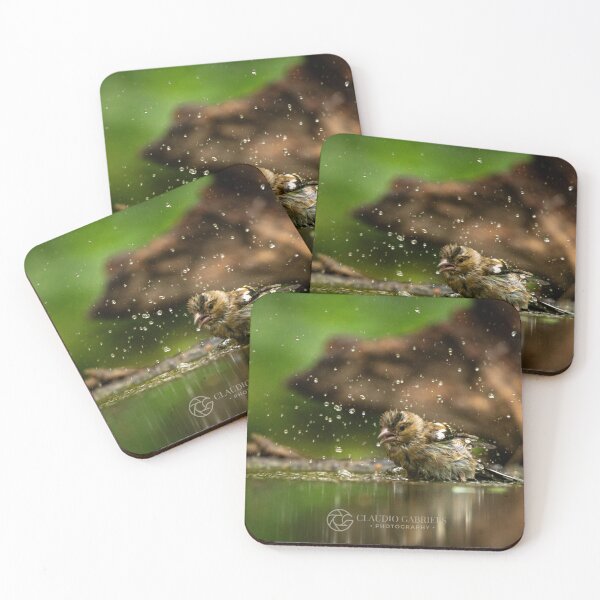 Item preview, Chaffinch Bird Bath Splash Action designed and sold by cgnature1983.