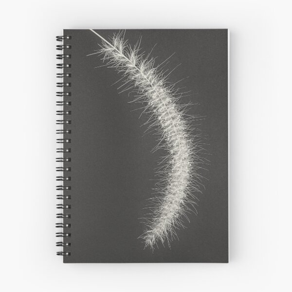 Item preview, Silver Arc of the Whispering Grass designed and sold by MariaAbaza.