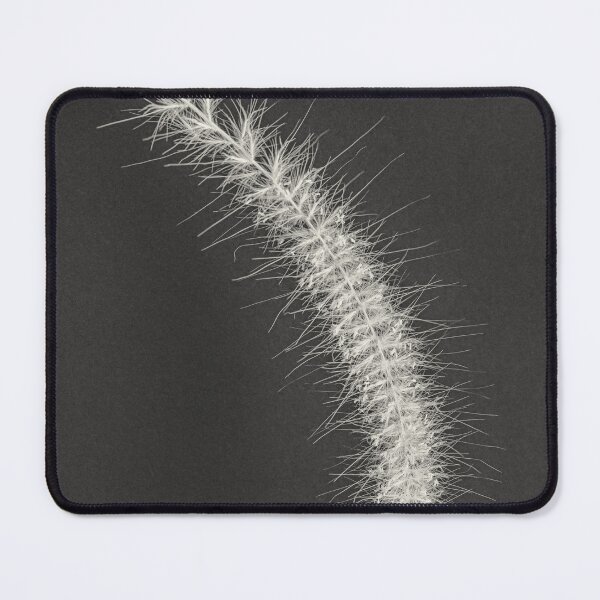 Item preview, Silver Arc of the Whispering Grass designed and sold by MariaAbaza.