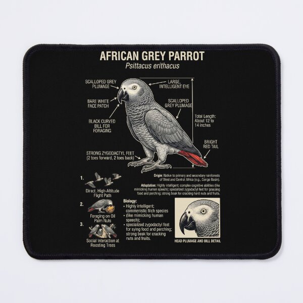 Item preview, African Grey Scientific Anatomy Ornithology Parrot Lover designed and sold by dian-rody-crest.