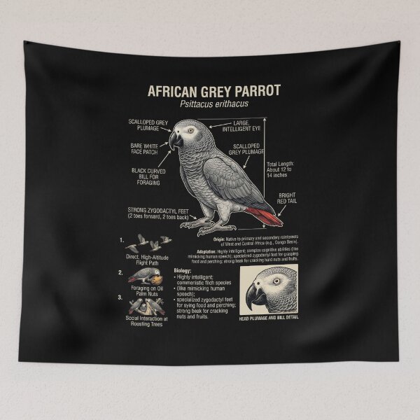 Item preview, African Grey Scientific Anatomy Ornithology Parrot Lover designed and sold by dian-rody-crest.