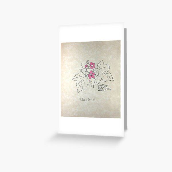 Purple-flowering Raspberry Greeting Card