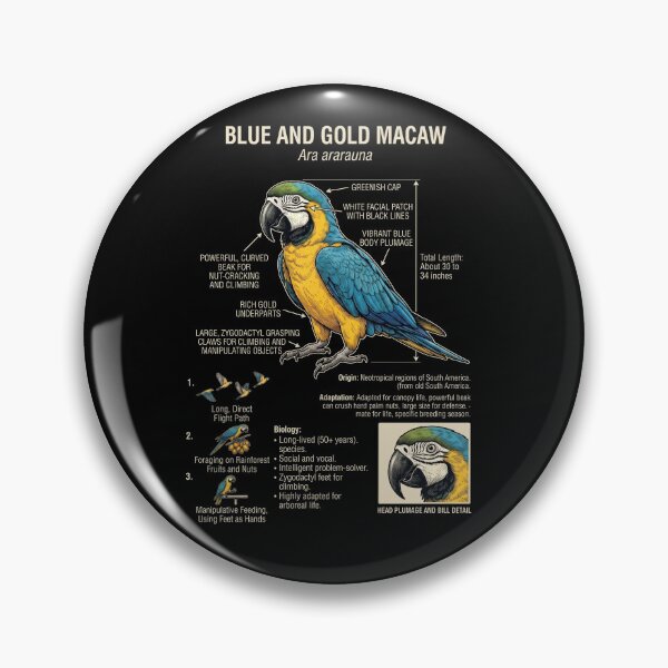 Item preview, Blue and Gold Macaw Scientific Anatomy Ornithology Parrot Lover designed and sold by dian-rody-crest.