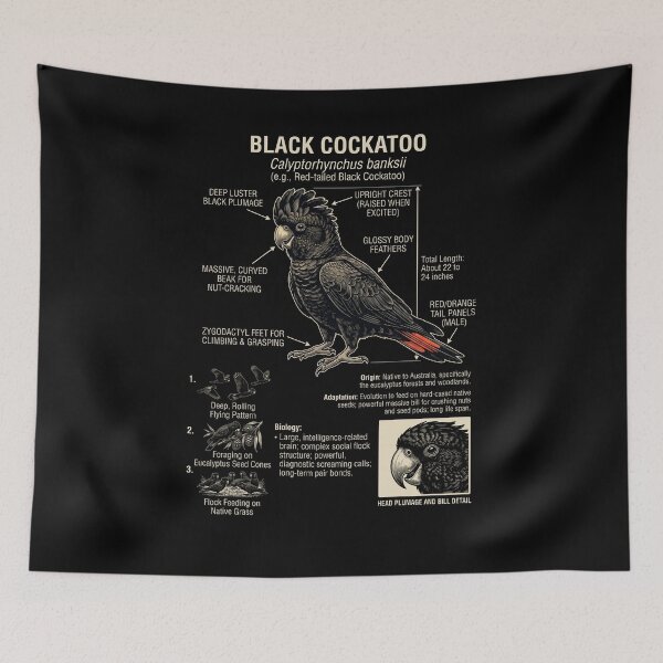 Item preview, Black Cockatoo Scientific Anatomy Ornithology Parrot Lover designed and sold by dian-rody-crest.