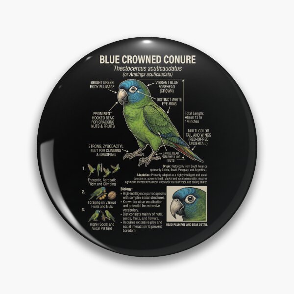 Item preview, Blue Crowned Conure Scientific Anatomy Ornithology Parrot Lover designed and sold by dian-rody-crest.