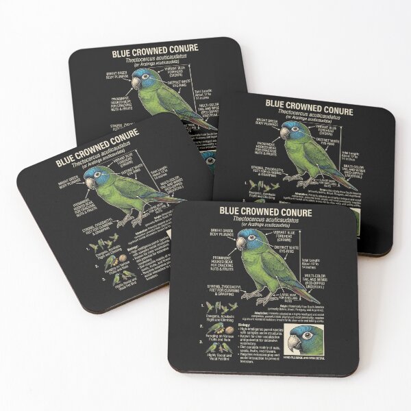 Item preview, Blue Crowned Conure Scientific Anatomy Ornithology Parrot Lover designed and sold by dian-rody-crest.