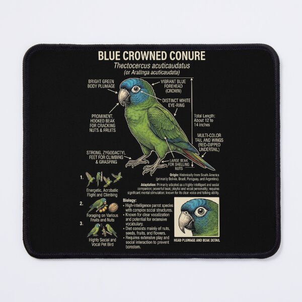 Item preview, Blue Crowned Conure Scientific Anatomy Ornithology Parrot Lover designed and sold by dian-rody-crest.