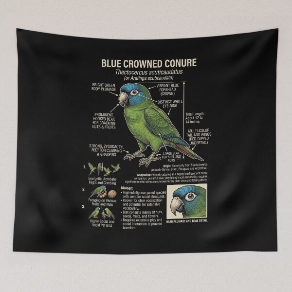 Item preview, Blue Crowned Conure Scientific Anatomy Ornithology Parrot Lover designed and sold by dian-rody-crest.