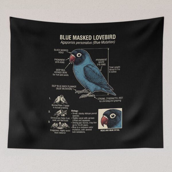 Item preview, Blue Masked Lovebird Scientific Anatomy Ornithology Parrot Lover designed and sold by dian-rody-crest.