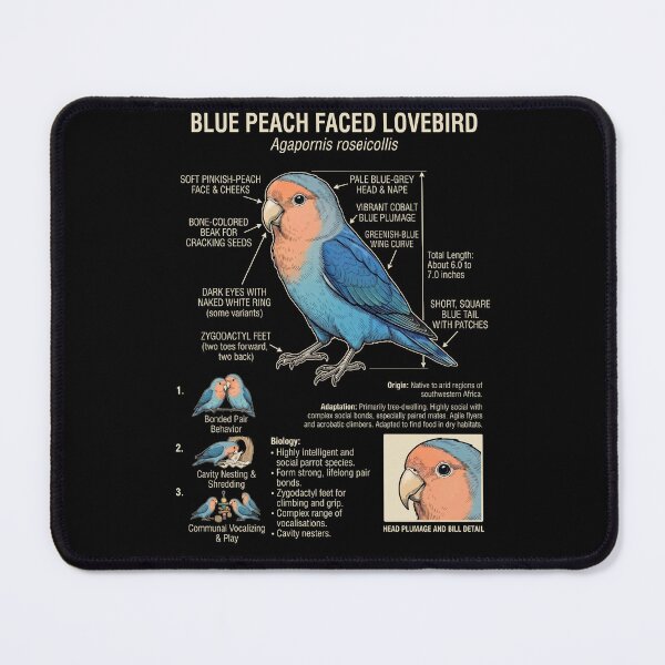 Item preview, Blue Peach Faced Lovebird Scientific Anatomy Ornithology Parrot Lover designed and sold by dian-rody-crest.