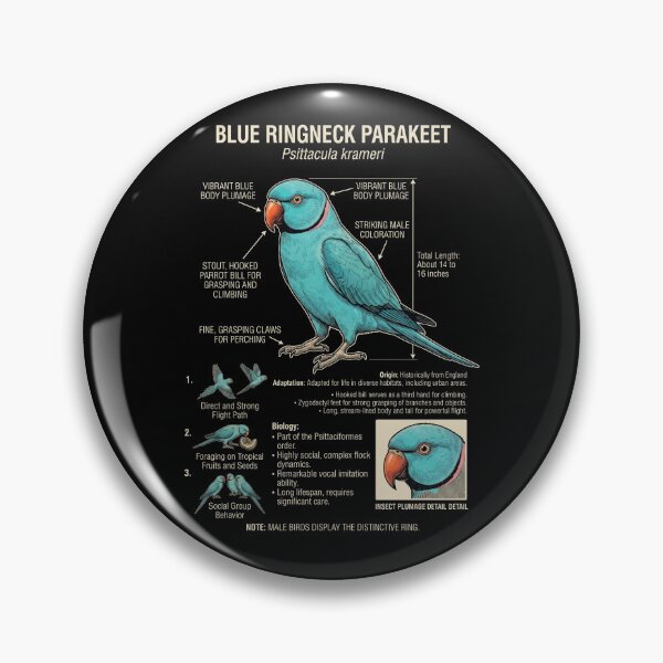 Item preview, Blue Ringneck Parakeet Scientific Anatomy Ornithology Parrot Lover designed and sold by dian-rody-crest.