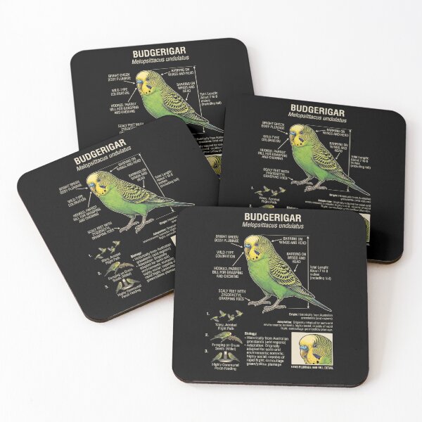 Item preview, Budgerigar Scientific Anatomy Ornithology Parrot Lover designed and sold by dian-rody-crest.