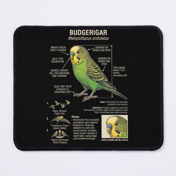 Item preview, Budgerigar Scientific Anatomy Ornithology Parrot Lover designed and sold by dian-rody-crest.