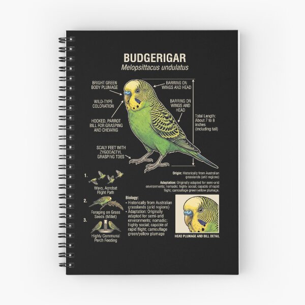 Item preview, Budgerigar Scientific Anatomy Ornithology Parrot Lover designed and sold by dian-rody-crest.