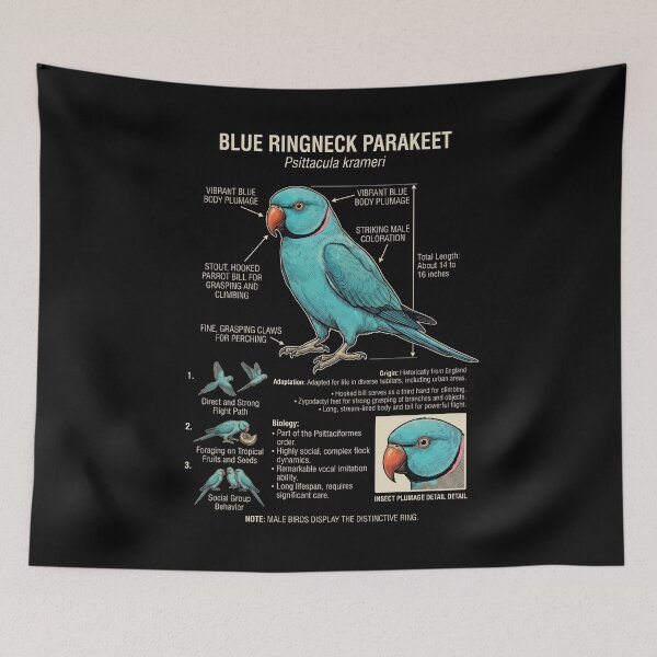 Item preview, Blue Ringneck Parakeet Scientific Anatomy Ornithology Parrot Lover designed and sold by dian-rody-crest.