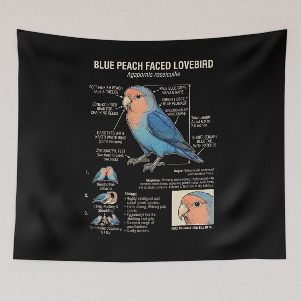 Item preview, Blue Peach Faced Lovebird Scientific Anatomy Ornithology Parrot Lover designed and sold by dian-rody-crest.