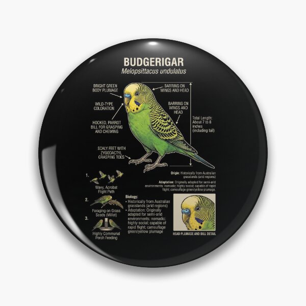 Item preview, Budgerigar Scientific Anatomy Ornithology Parrot Lover designed and sold by dian-rody-crest.