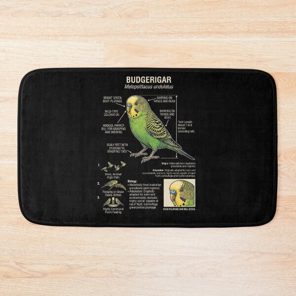Item preview, Budgerigar Scientific Anatomy Ornithology Parrot Lover designed and sold by dian-rody-crest.