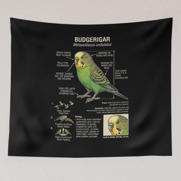 Item preview, Budgerigar Scientific Anatomy Ornithology Parrot Lover designed and sold by dian-rody-crest.